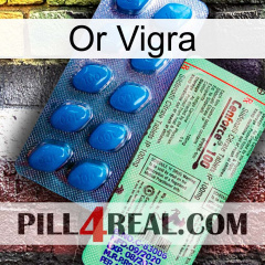 Gold Vigra new02